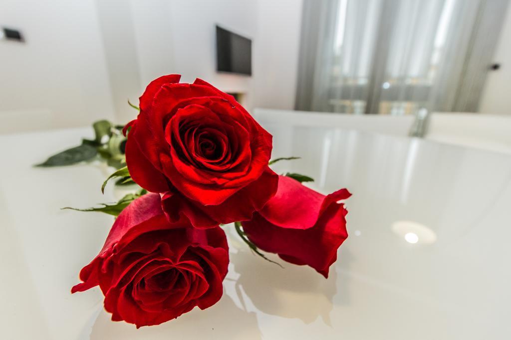 Myapartsuite Trastevere Roma Dış mekan fotoğraf